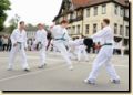 stadtfest__18_.jpg