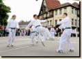 stadtfest__19_.jpg