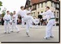 stadtfest__20_.jpg