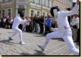 stadtfest__37_.jpg